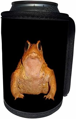 3dRose Herper Bufo Bufo Avrupa Kurbağası Siyah Anahat Sanatı. - Şişe Sargısını Soğutabilir (cc_356956_1)
