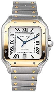 Cartier Santos Otomatik Gümüş Opal Kadran Çelik ve 18kt Sarı Altın erkek saati W2SA0006