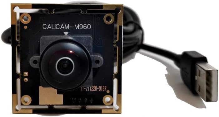 CaliCam, Kalibre Edilmiş Balık Gözü Kamera, Balık Gözü İğne Deliği Görüntüsü Kolay Dönüşüm, FoV 200°, 1280X960.