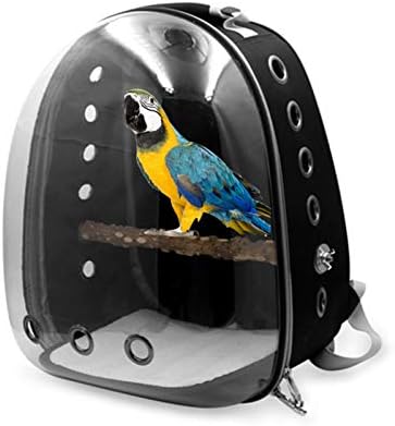 XCQ evcil hayvan çantası Şeffaf evcil hayvan sırt çantası Papağan Out Çanta Nefes Sığırcık Kuş Kafesi Pet Uzay Çantası
