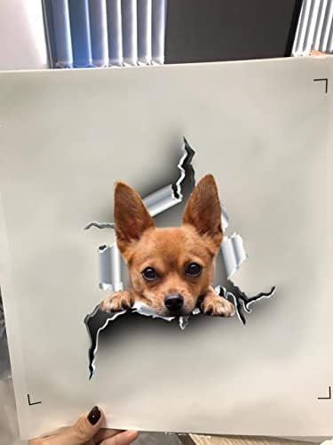 Chihuahua Araba Sticker Chihuahua Mama Araba Çıkartması Sevimli Şeffaf Dekor Sticker Çiftçi için Hava Koşullarına