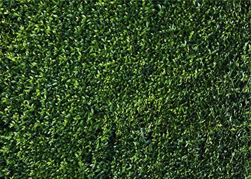 9x6ft 3D Yeşil Yapraklar Doğa Bahar Tema Fotoğraf Arka Plan Düğün Doğum Günü Partisi Yenidoğan Bebek Duş Fotoğraf