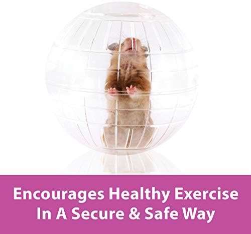 Kaytee 7 Evcil Hayvan Hamsterleri ve Gerbiller için Açık Koşu Egzersiz Topu