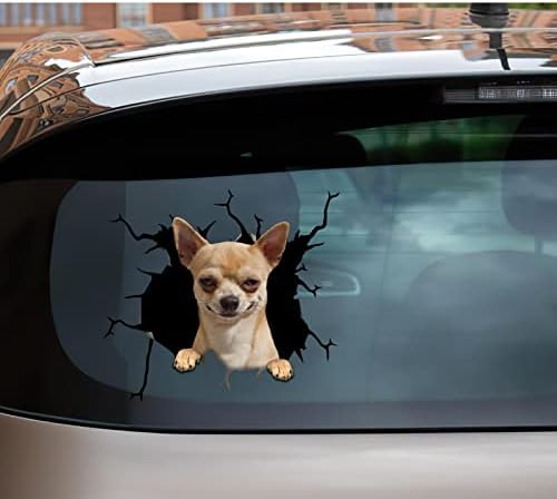 Chihuahua Çıkartması Araba Çıkartmaları Chihuahua Sevgilisi Vinil Kamyon Sticker Bebek Sevimli Araba Çıkartması