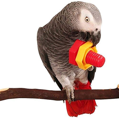 Hippi 4 adet Kuş Akıllı Oyuncaklar Vida Eğitim Oyuncak Papağan Parakeet Amerika Papağanı Afrika Griler Muhabbet Kuşları