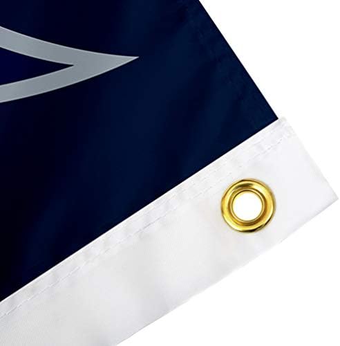 Çöl Kaktüs Gürcistan Güney Üniversitesi Bayrağı GSU Eagles Bayrakları Afiş %100 % Polyester Kapalı Açık 3x5 Bayrağı