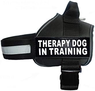 Naylon Köpek Yelek Koşum Eğitiminde Terapi Köpeği. Satın Alma, Çıkarılabilir yamaları Eğitirken 2 Yansıtıcı Terapi