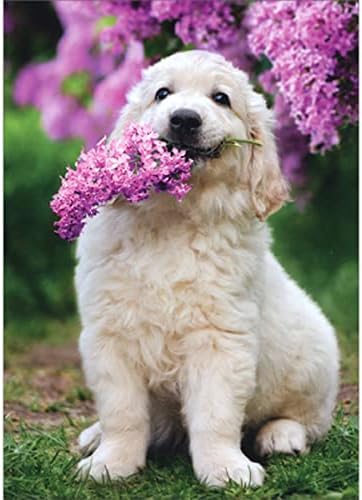 Avanti Press Ağızda Leylak Tutan Beyaz Köpek Sevimli Hayvan Anneler Günü Kartı